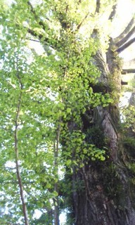 210419_0619_02.jpg