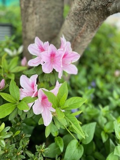 IMG_1570.jpg