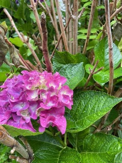 image0 (7).jpeg
